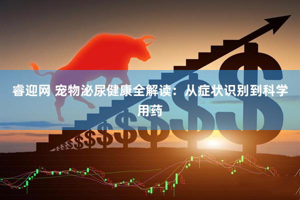 睿迎网 宠物泌尿健康全解读：从症状识别到科学用药